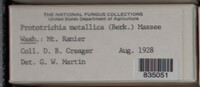 Image Associated With the Occurence